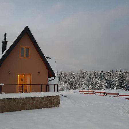 Mountain House Popovic Tara Villa บายินา บาชตา ภายนอก รูปภาพ