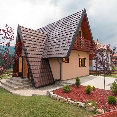 Mountain House Popovic Tara Villa บายินา บาชตา ภายนอก รูปภาพ